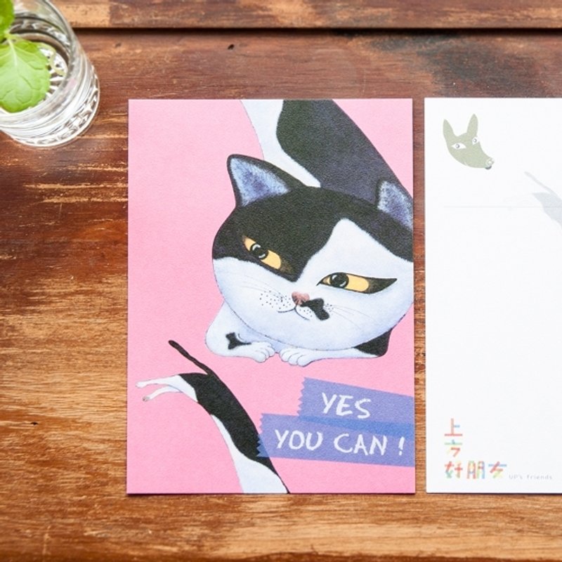 接猫系列_YES YOU CAN!