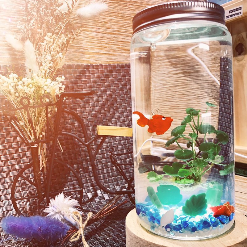 小室瓶栽/水草系列/小叶铜钱草造型瓶栽送一灯座---面交取货