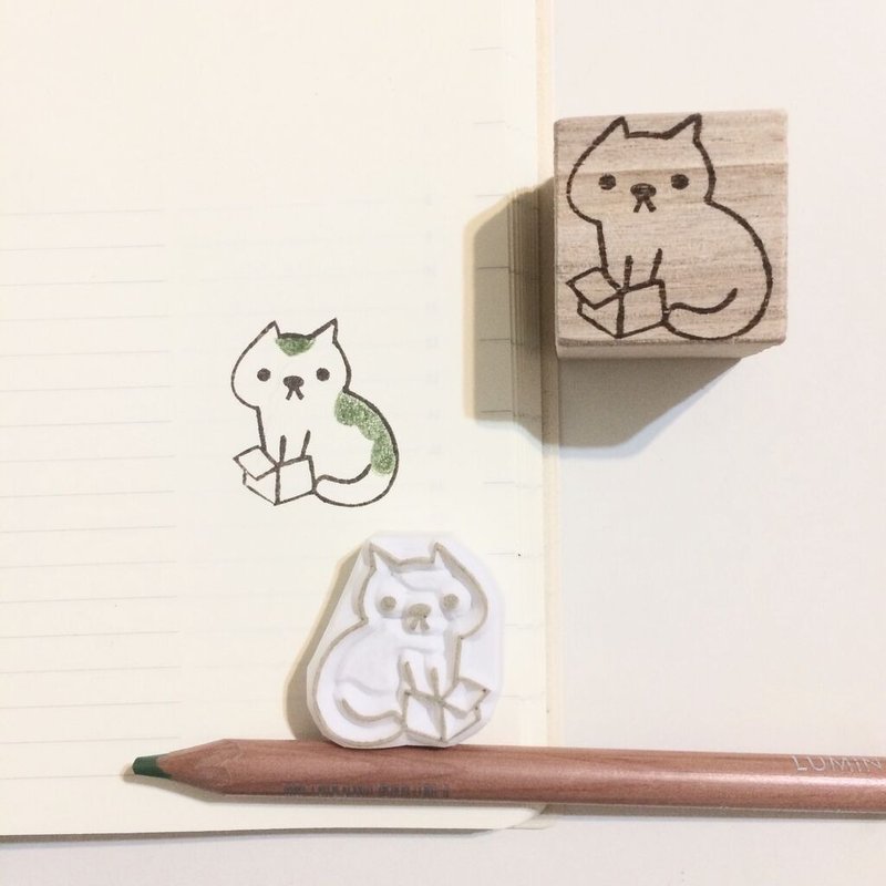小箱猫