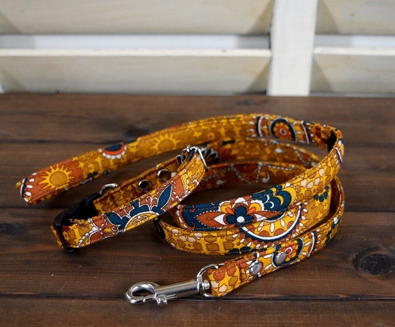 Set Silver Moroccan mustard collar & lead