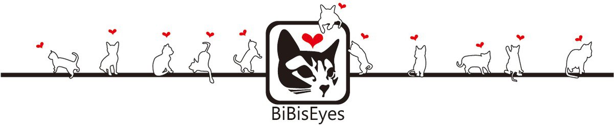 设计师品牌 - bibiseyes