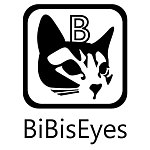 设计师品牌 - bibiseyes