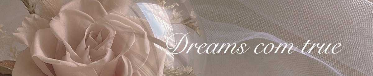设计师品牌 - Dreams come true 永生花/干燥花