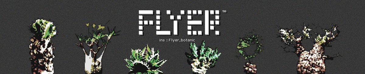 设计师品牌 - Flyer.botanic