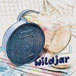 设计师品牌 - WildJar