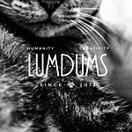 设计师品牌 - LUMDUMS