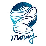 设计师品牌 - Moray Studio
