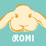 ROMI羅米兔-新一代爸妈包
