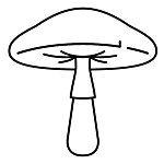 设计师品牌 - röyksopp gakkai 蘑菇学会