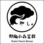野趣小品盆栽 Rustic Charm Bonsai