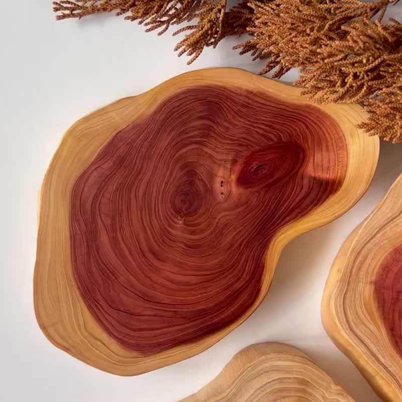 台湾龙柏原木自然造型杯垫-散发木质芬芳/圣诞礼物 - 杯垫 - 木头 