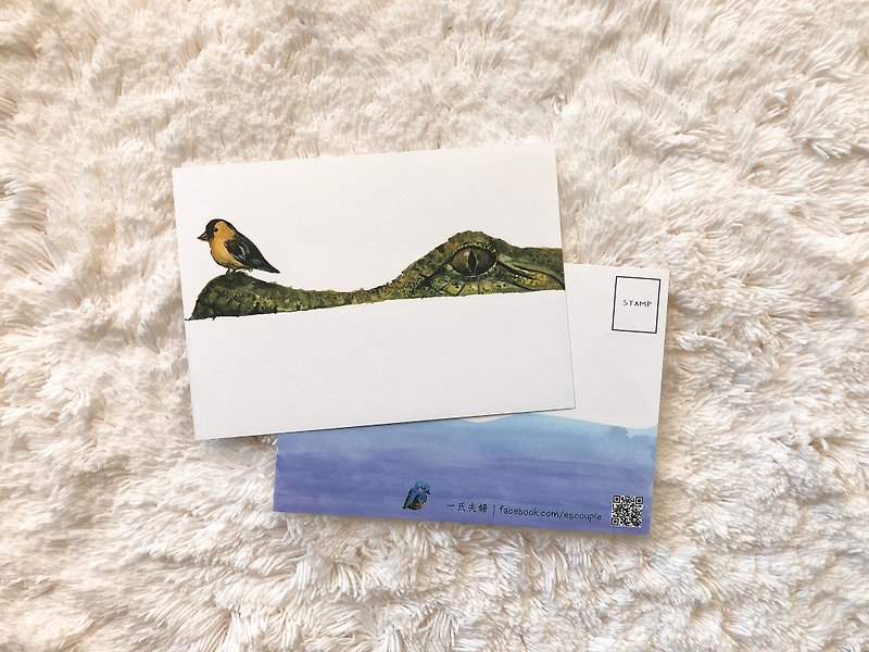 动物 明信片 鳄鱼与鸟 - 卡片/明信片 - 纸 绿色