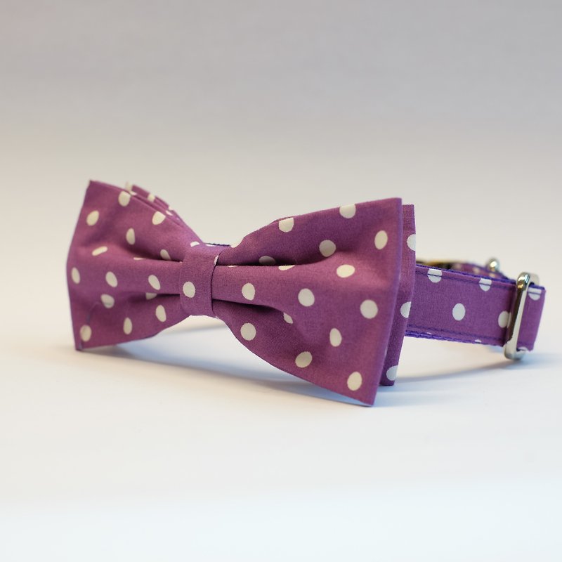 Violet White Polkadot Bowtie Collar - 项圈/牵绳 - 其他材质 紫色