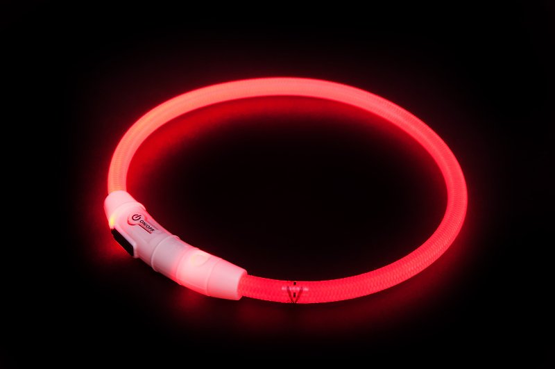 【MYZOO】Nightwalker LED宠物项圈/尺寸S - 项圈/牵绳 - 硅胶 红色
