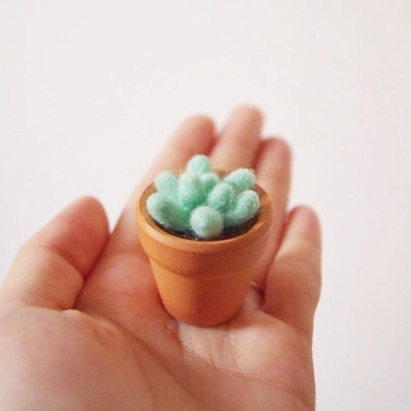 羊毛毡多肉盆栽 / 迷你多肉植物 Felting Mini Potted - 摆饰 - 羊毛 绿色