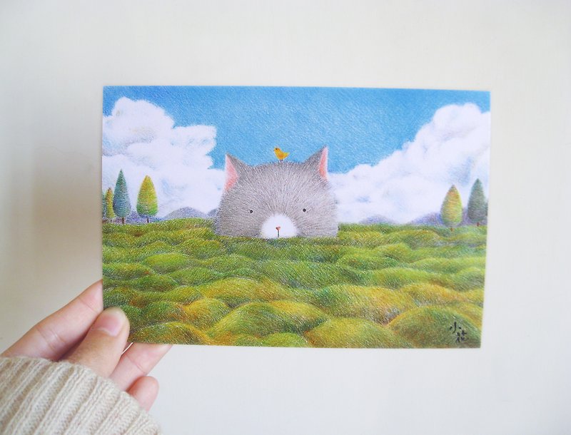 可爱动物插画卡片 明信片(草原猫咪) - 卡片/明信片 - 纸 绿色