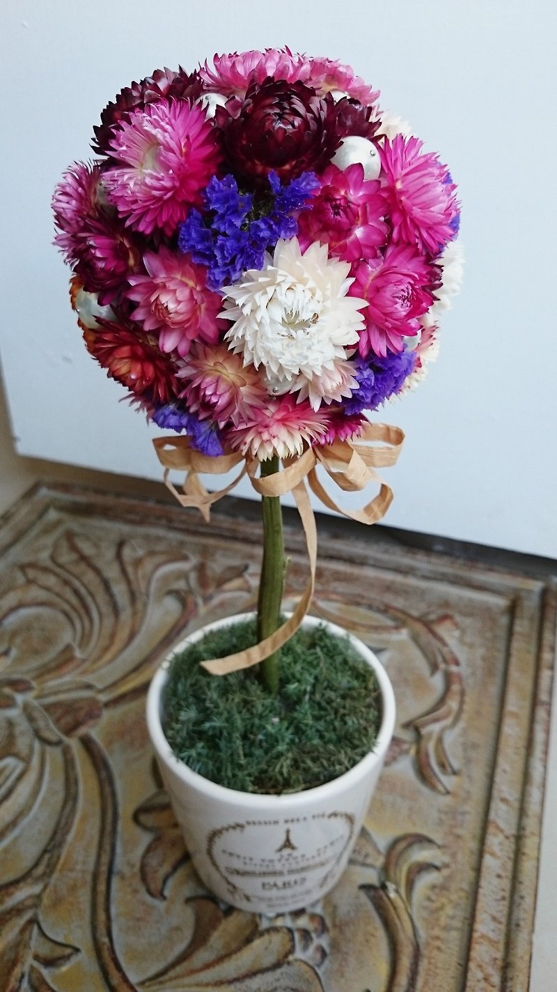 麦杆菊+紫色星辰干燥球型小盆花 - 植栽/盆栽 - 植物．花 多色