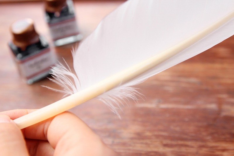 羽毛手工刀削沾水笔+墨水入门套组 | 书写 文具 欧式 复古 - 蘸水笔 - 其他材质 白色