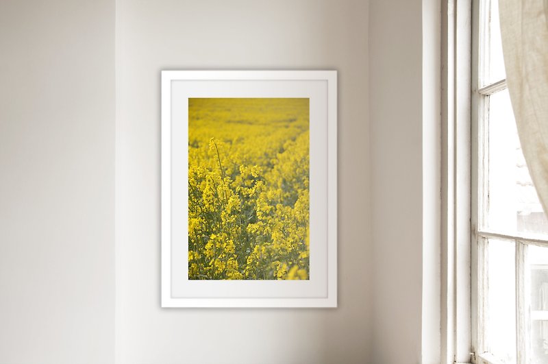 摄影   油菜花田II (不含框/可加价购框) - 海报/装饰画/版画 - 纸 黄色
