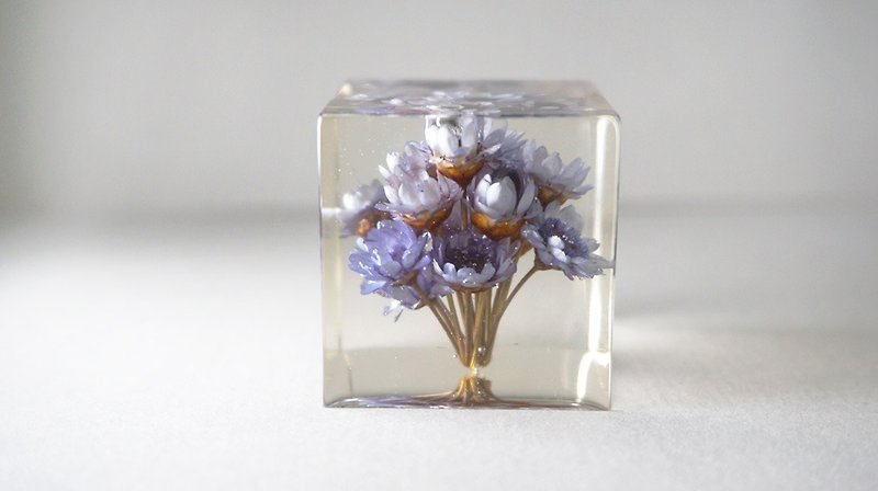 蓝色小花－立体方形干花摆设 - 植栽 - 植物．花 蓝色
