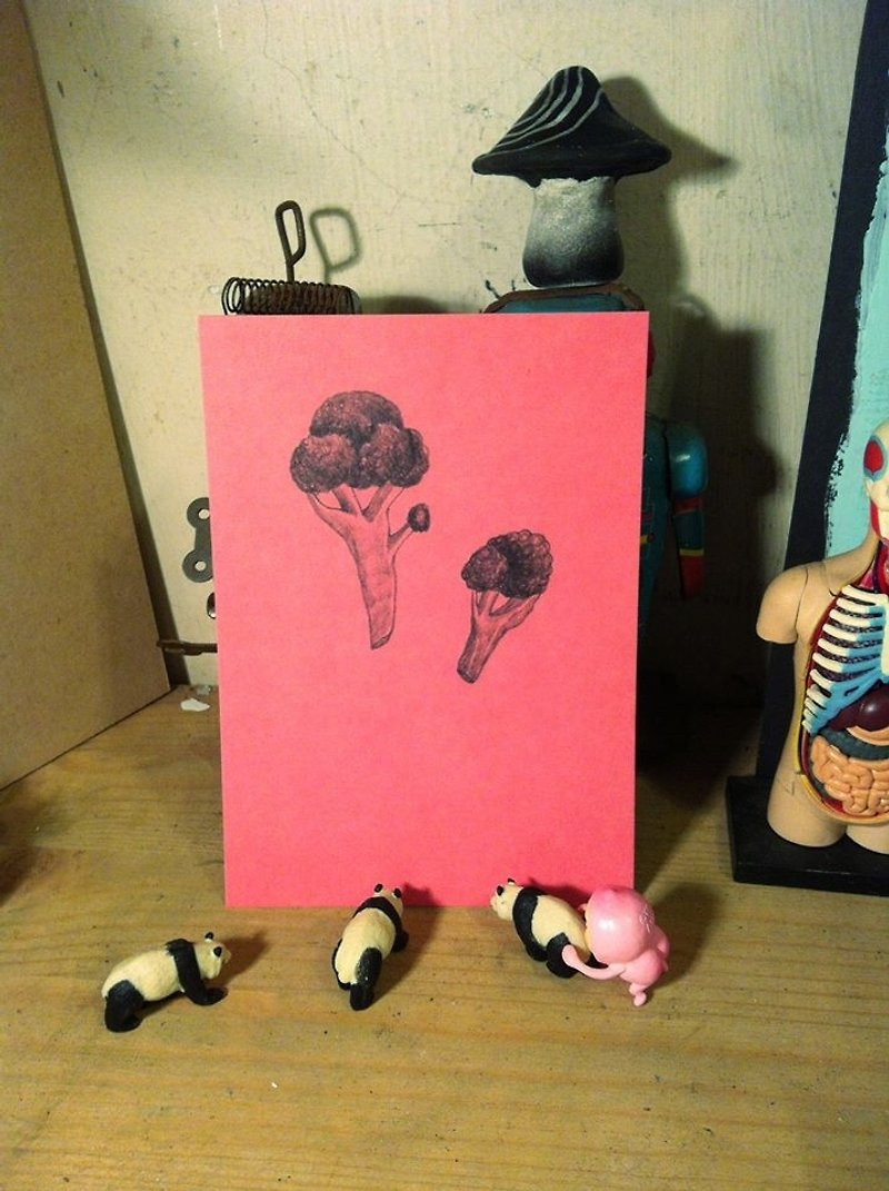  每日一物明信片 单张 花椰菜 粉红 - 卡片/明信片 - 压克力 粉红色
