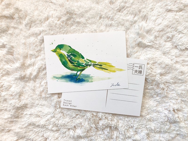 动物 明信片 小绿鸟 - 卡片/明信片 - 纸 绿色