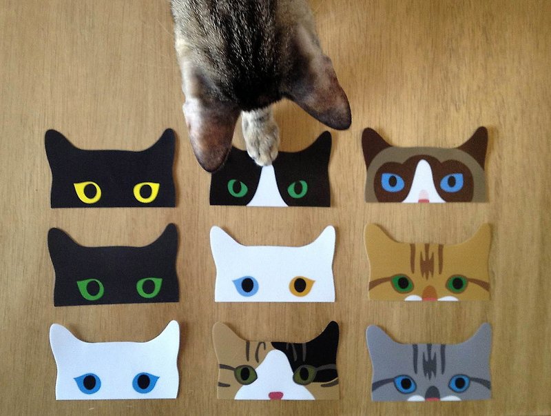 猫出没注意! 贴纸 全系列组合包 (9张) - 贴纸 - 防水材质 多色