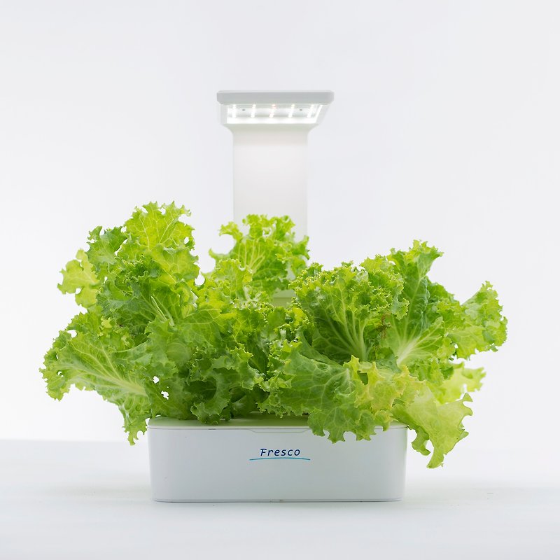 Green Box 小农夫 水/土耕两用培育植物灯 - 灯具/灯饰 - 塑料 白色
