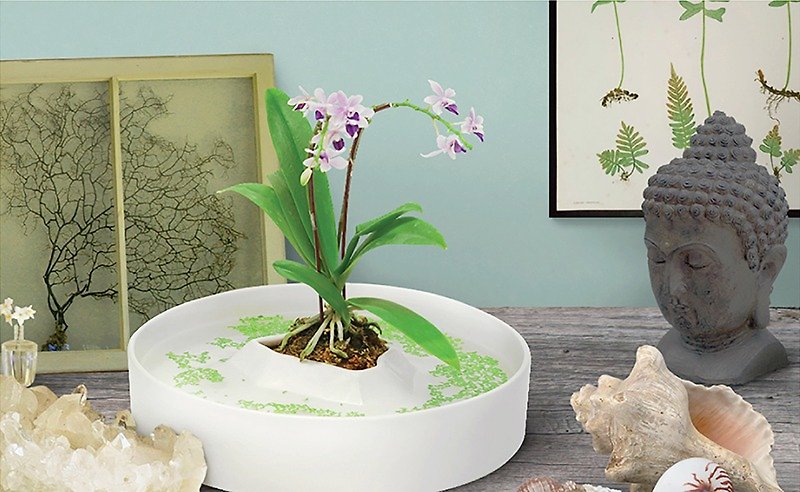 Lohachara 罗哈恰拉岛花器 Flower containers - 花瓶/陶器 - 瓷 白色