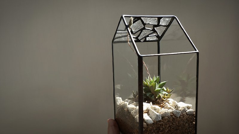 光屋-直长款 花房 多肉 玻璃镶嵌 - 植栽/盆栽 - 玻璃 透明