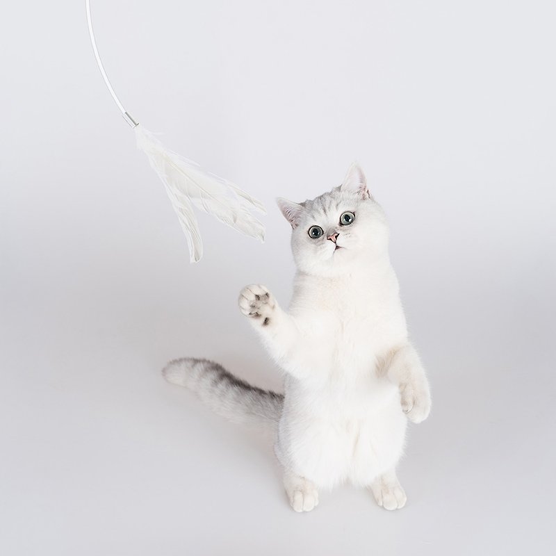 逗猫棒 猫玩具 手持软胶逗猫棒 羽毛 猫用品 宠物用品 - 玩具 - 塑料 灰色