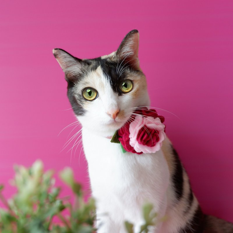 : BELLA MALA : Ruby rose breakaway cat collar - 项圈/牵绳 - 棉．麻 粉红色