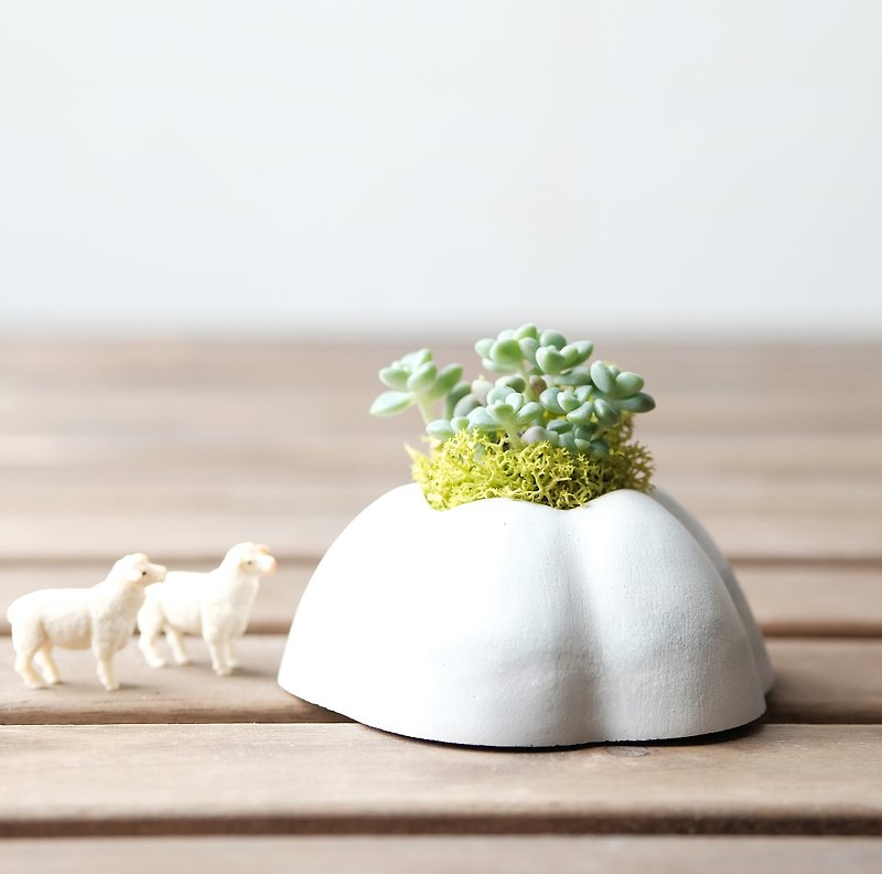 霜降蛋糕山-水泥多肉盆栽材料包 Succulents potted - 植栽/盆栽 - 水泥 白色