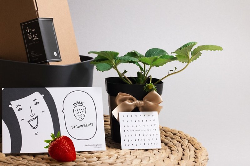 草莓果果礼物盒 - 植栽/盆栽 - 植物．花 