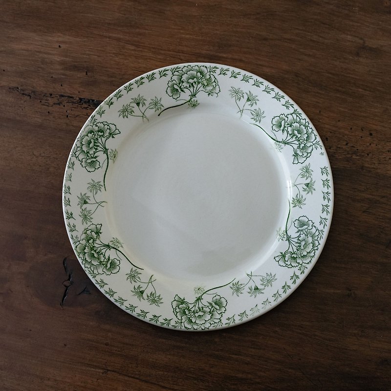 柳染绿餐盘 直径24cm - 盘子/餐盘/盘架 - 陶 