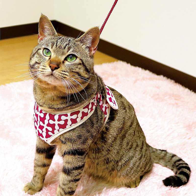【日本CattyMan】猫咪胸背+牵绳组 多种颜色  尺寸 - 项圈/牵绳 - 其他材质 