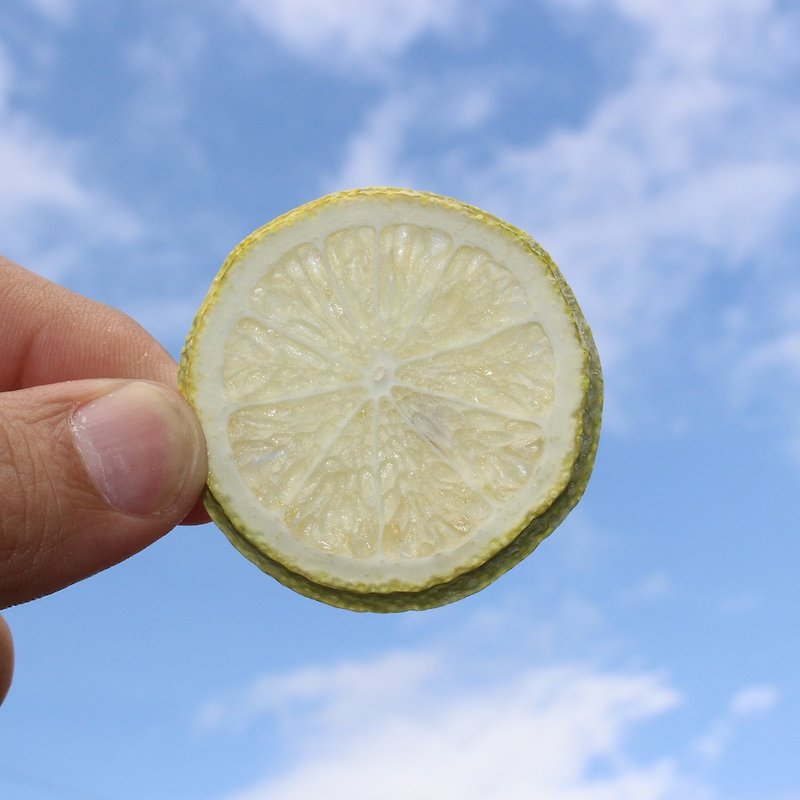 柠檬干- 最接近新鲜柠檬的柠檬干 - 健康/养生 - 新鲜食材 