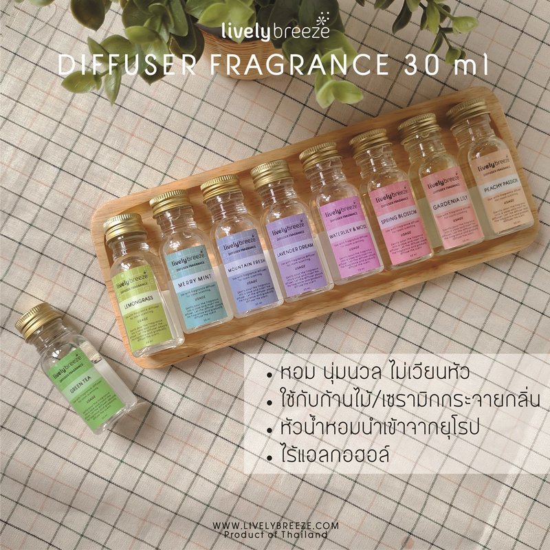 Diffuser Fragrance 60 ml - 香薰/精油/线香 - 塑料 多色