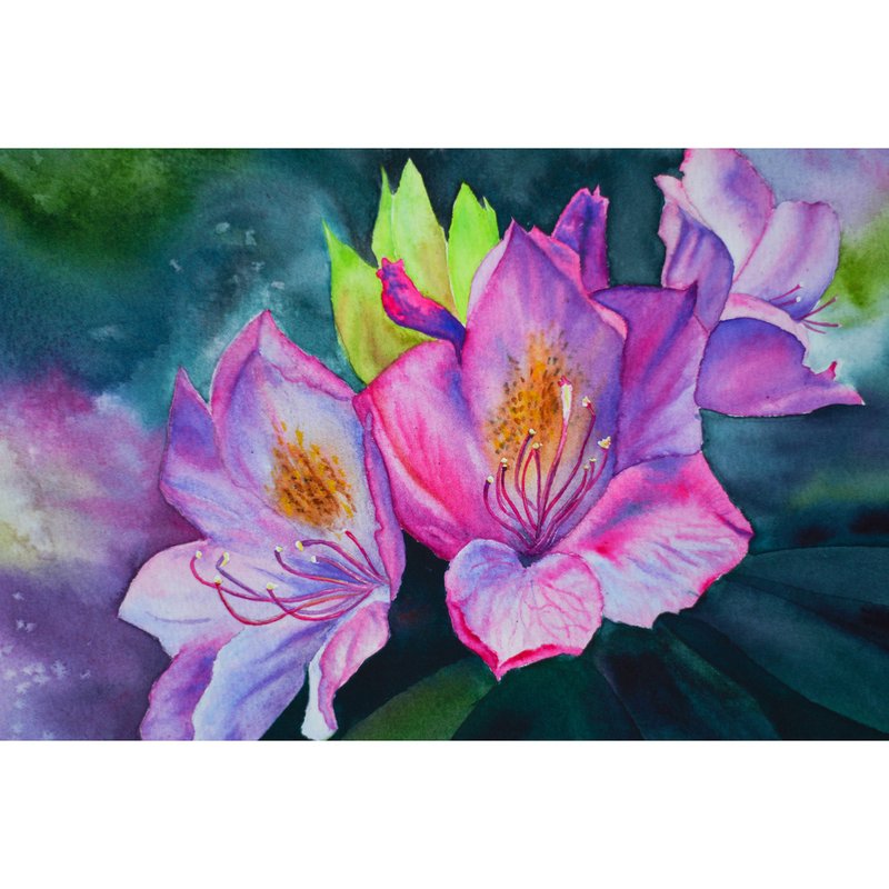 Watercolor Pink Rhododendron Flowers Painting Interior Floral Original Art - 海报/装饰画/版画 - 纸 多色