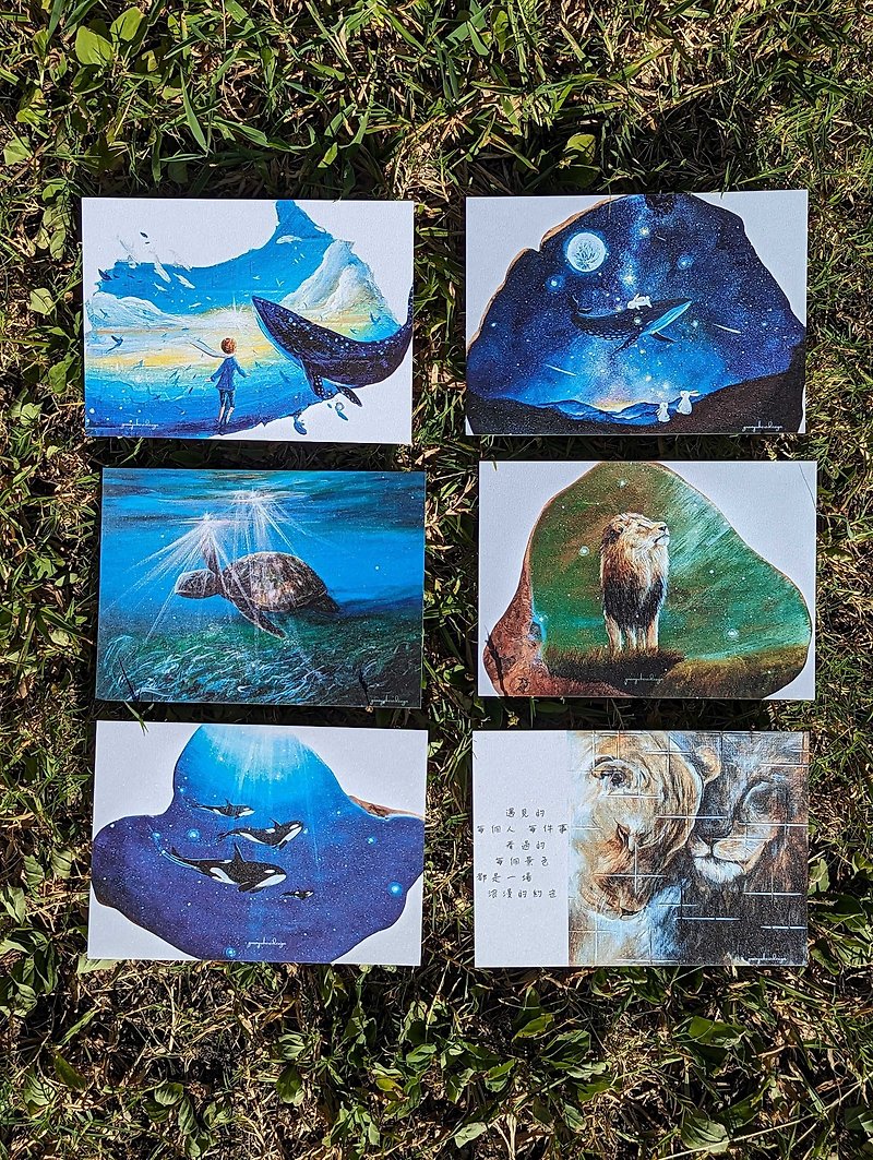 海洋/动物系列明信片 - 卡片/明信片 - 纸 蓝色