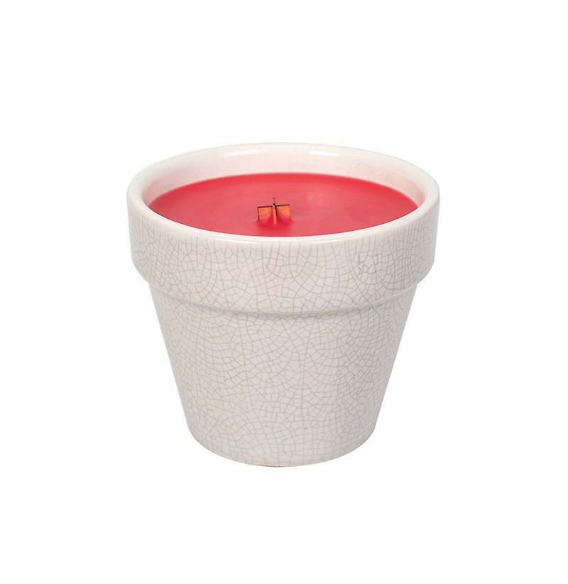 【VIVAWANG】8.5oz草本陶瓷盆栽杯蜡-茎黄韵红 - 蜡烛/烛台 - 瓷 红色