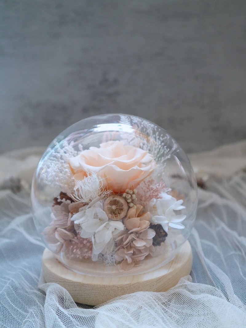 永生花玻璃罩水晶球 - 温柔淡橙 - 干燥花/捧花 - 玻璃 