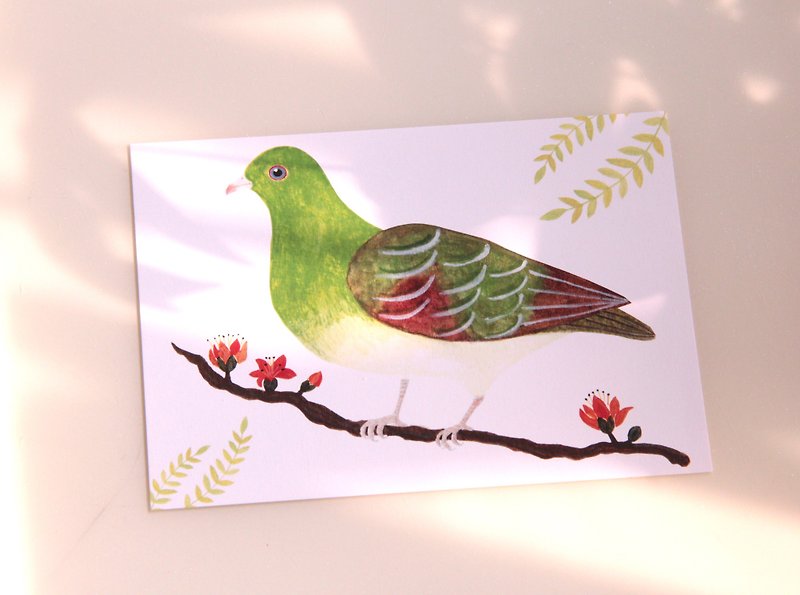 香港野鸟 绿鸠 green pigeon  水彩插画明信片 - 卡片/明信片 - 纸 绿色
