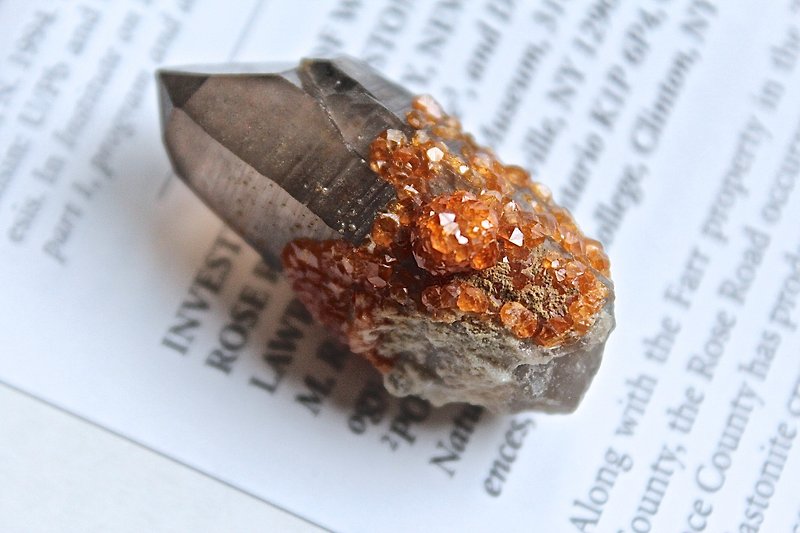 石栽 SHIZAI ▲特殊茶水晶与锰铝榴石共生（含底座）▲ - 摆饰 - 宝石 橘色