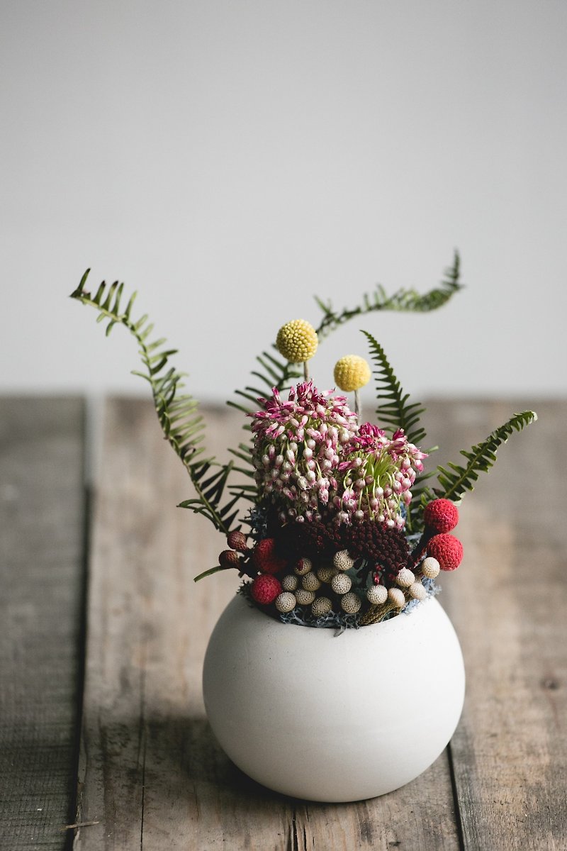 Potted Flower -春- 盆花、室内、送人 - 植栽/盆栽 - 植物．花 