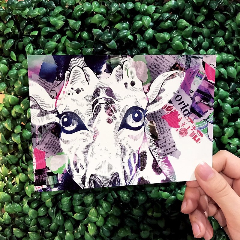 Paper Shoot 纸可拍 环保 创意 明信片 台湾设计师 I SEE YOU! 《看见》系列 - 长颈鹿 - 卡片/明信片 - 纸 多色