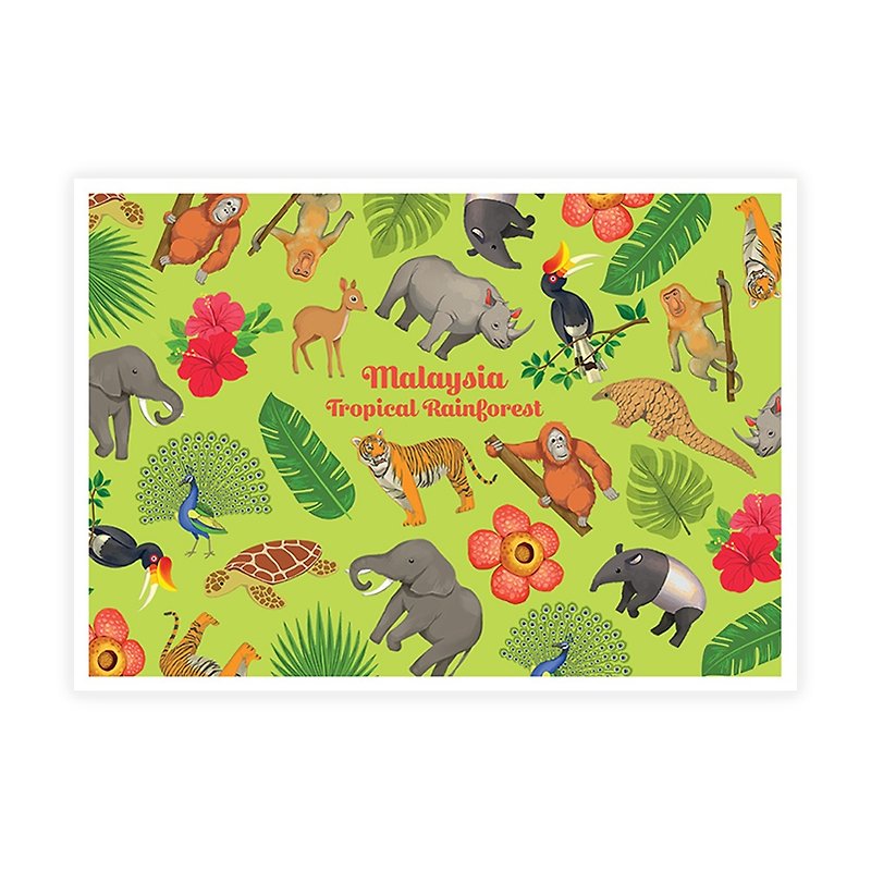 热帯雨林主题明信片 - 卡片/明信片 - 纸 