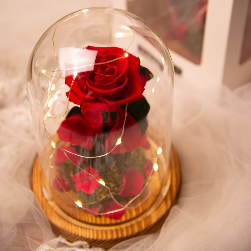 【唯一】美女与野兽 永生花红玫瑰 玻璃罩 夜灯 /情人节 生日纪念 - 灯具/灯饰 - 植物．花 红色
