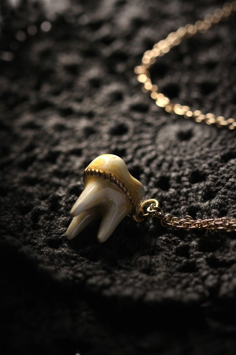 A Tooth (three roots) Charm Necklace by Defy - Painted Version - 项链 - 其他金属 金色