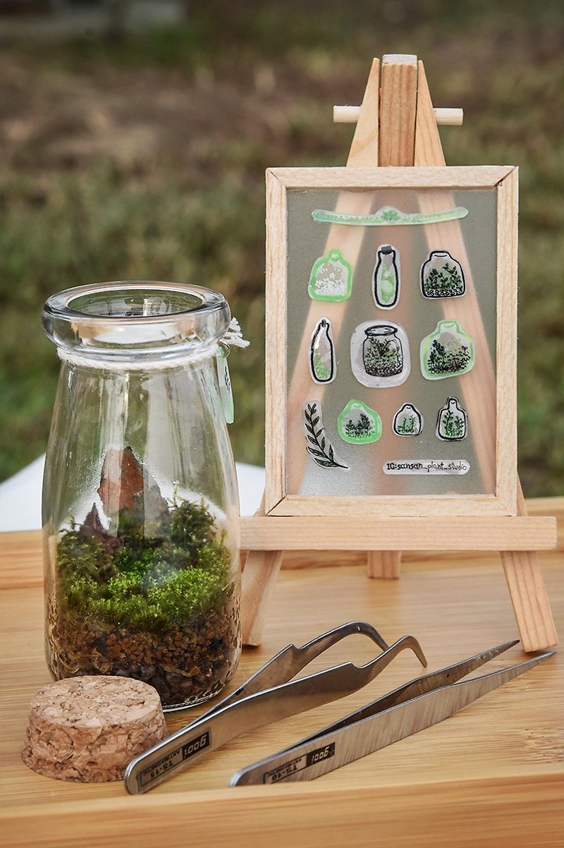 苔藓生态瓶(小) DIY材料包+教学说明书 - 植栽 - 植物．花 绿色